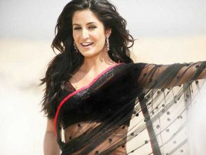 Katrina Kaif hot in transparent saree