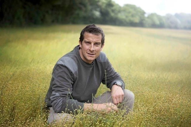 Animals on the Loose: A you vs Wild Movie